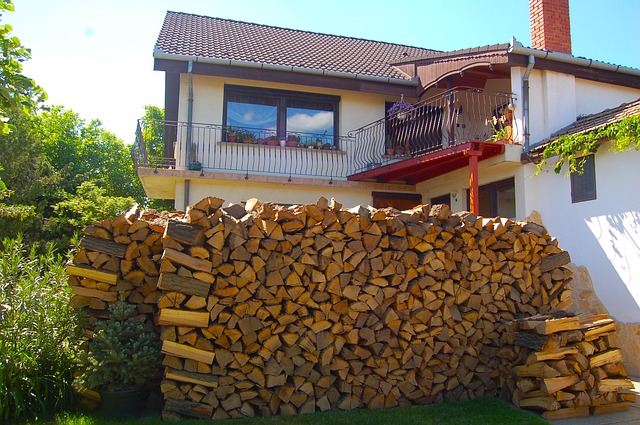 dřevo u domu